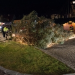 Christbaum umgestürzt - Foto: Josef Kuss