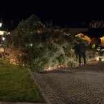 Christbaum umgestürzt - Foto: Josef Kuss