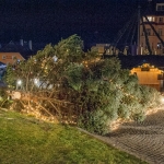 Christbaum umgestürzt - Foto: Josef Kuss