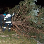 Christbaum umgestürzt - Foto: Josef Kuss