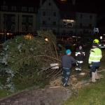 Christbaum umgestürzt - Foto: Josef Kuss
