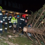 Christbaum umgestürzt - Foto: Josef Kuss