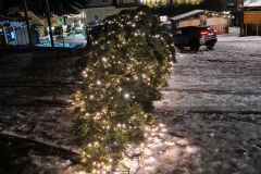 Christbaum am Mariazell Hauptplatz - Sturmschaden - Foto: Josef Kuss