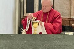 Stefanitag in Mariazell - 26.12.2024 - Foto: Franz Peter Stadler