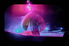 "Circus Aros", Foto: Anna Scherfler