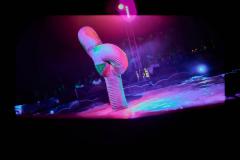 "Circus Aros", Foto: Anna Scherfler