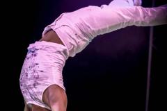 "Circus Aros", Foto: Anna Scherfler