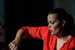 "Circus Aros", Foto: Anna Scherfler