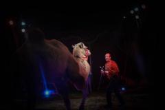 "Circus Aros", Foto: Anna Scherfler