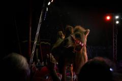 "Circus Aros", Foto: Anna Scherfler