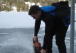 Deep Honey Diving / Foto: Heidrun Singer
