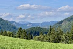 Erzherzog Johann Denkmal - Vogelbühel - Foto: Ing. Franz Peter Stadler