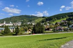 Erzherzog Johann Denkmal - Vogelbühel - Foto: Ing. Franz Peter Stadler