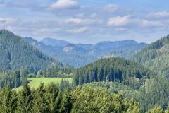 Erzherzog Johann Denkmal - Vogelbühel - Foto: Ing. Franz Peter Stadler