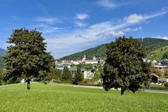 Erzherzog Johann Denkmal - Vogelbühel - Foto: Ing. Franz Peter Stadler