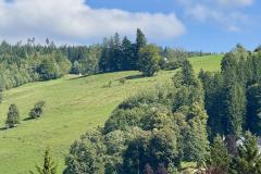 Erzherzog Johann Denkmal - Vogelbühel - Foto: Ing. Franz Peter Stadler