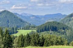 Erzherzog Johann Denkmal - Vogelbühel - Foto: Ing. Franz Peter Stadler