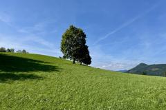 Erzherzog Johann Denkmal - Vogelbühel - Foto: Ing. Franz Peter Stadler