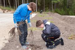 Bepflanzung des neuen Parkplatzes am Erlaufsee - Foto: Josef  Kuss Bepflanzung des neuen Parkplatzes am Erlaufsee - Foto: Josef  Kuss