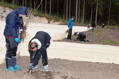 Bepflanzung des neuen Parkplatzes am Erlaufsee - Foto: Josef  Kuss Bepflanzung des neuen Parkplatzes am Erlaufsee - Foto: Josef  Kuss