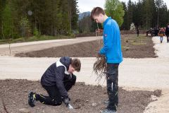 Bepflanzung des neuen Parkplatzes am Erlaufsee - Foto: Josef  Kuss
