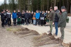 Bepflanzung des neuen Parkplatzes am Erlaufsee - Foto: Josef  Kuss Bepflanzung des neuen Parkplatzes am Erlaufsee - Foto: Josef  Kuss