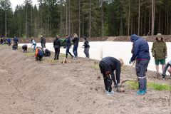 Bepflanzung des neuen Parkplatzes am Erlaufsee - Foto: Josef  Kuss