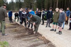 Bepflanzung des neuen Parkplatzes am Erlaufsee - Foto: Josef  Kuss