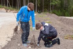 Bepflanzung des neuen Parkplatzes am Erlaufsee - Foto: Josef  Kuss Bepflanzung des neuen Parkplatzes am Erlaufsee - Foto: Josef  Kuss