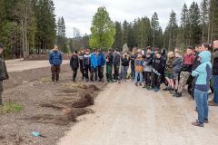 Bepflanzung des neuen Parkplatzes am Erlaufsee - Foto: Josef  Kuss