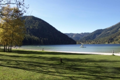 Rund um den Erlaufsee - Foto: Mariazell Online