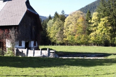 Rund um den Erlaufsee - Foto: Mariazell Online