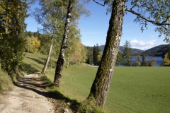 Rund um den Erlaufsee - Foto: Mariazell Online