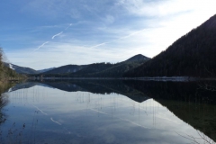 Rund um den Erlaufsee - Foto: Mariazell Online