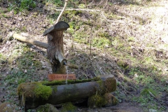 Erlaufstausee - Foto: Mariazell Online