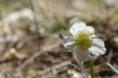 Erlaufstausee - Foto: Mariazell Online