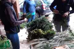 Erntedank 2023, Foto: Familie Schweighofer