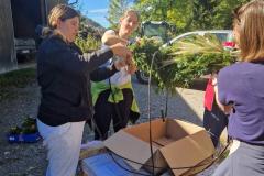 Die Bäuerinnen aus Mariazell und Mitterbach gemeinsam mit der Landjugend beim Gestalten der Erntedankkrone - Foto: Veronika Schweighofer
