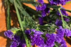 Erntedank 2024 - Foto: zVg. Fam. Schweighofer