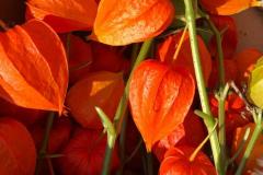 Erntedank 2024 - Foto: zVg. Fam. Schweighofer