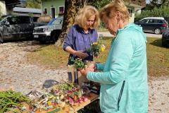 Erntedank 2024 - Foto: zVg. Fam. Schweighofer