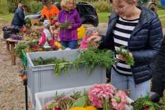 Erntedank 2025 - Foto: Veronika Schweighofer