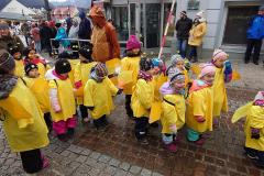 Faschingsumzug in Mariazell, Foto: Mariazell Online