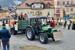 Mariazeller Faschingsumzug 2025 - Foto: Ing. Franz Peter Stadler