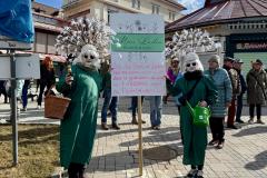 Mariazeller Faschingsumzug 2025 - Foto: Ing. Franz Peter Stadler