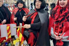 Mariazeller Faschingsumzug 2025 - Foto: Ing. Franz Peter Stadler