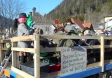 faschingumzug-2015 (7)