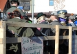 faschingumzug-2015 (8)
