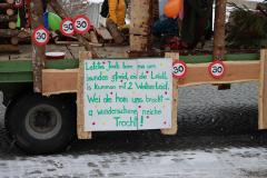 Faschingsumzug 2026 in Mariazell, Foto: Christian Sprosec