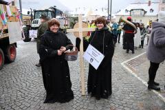 Faschingsumzug 2026 in Mariazell, Foto: Christian Sprosec